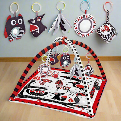 Baby Play Gym | PLAYGYM™